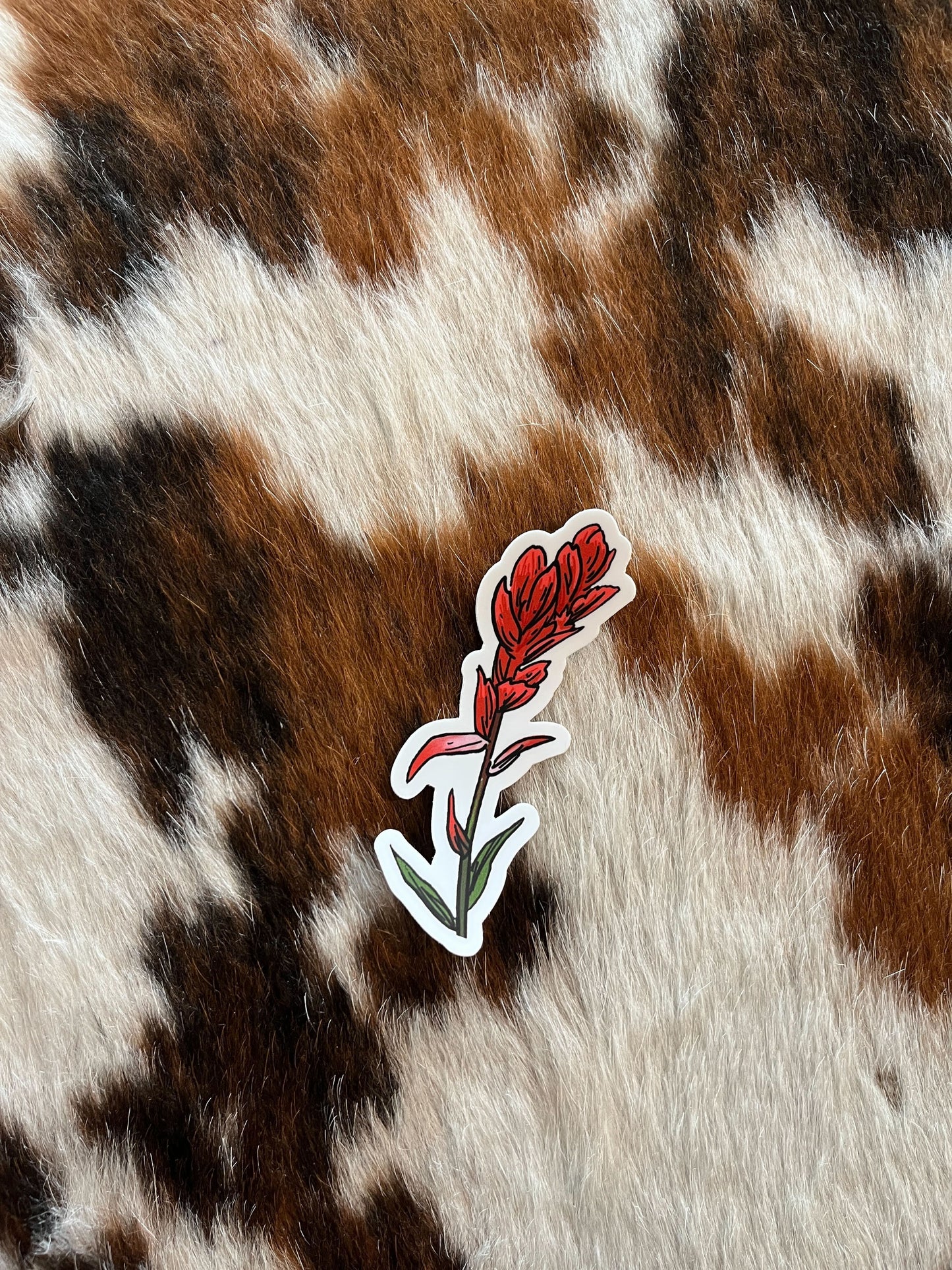 Indian Paintbrush Sticker