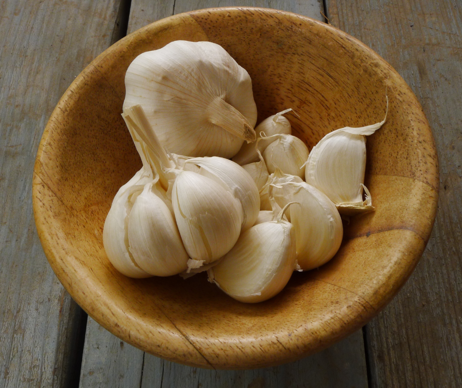 Miller Colony Garlic