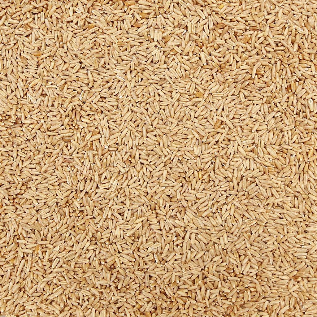 Gluten-Free Oat Groats 1 lb - Gluten Free Prairie